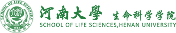 必赢242net官网